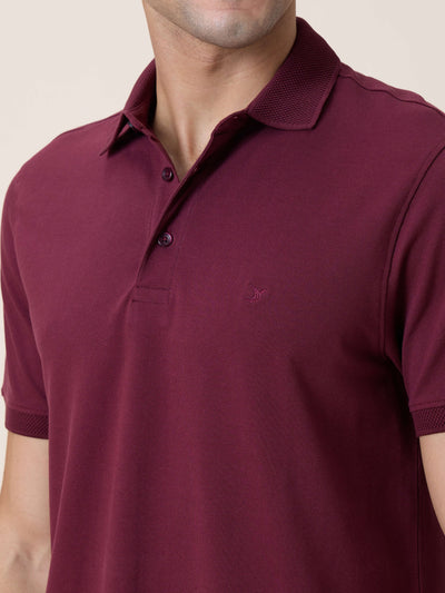 Eternal Polo