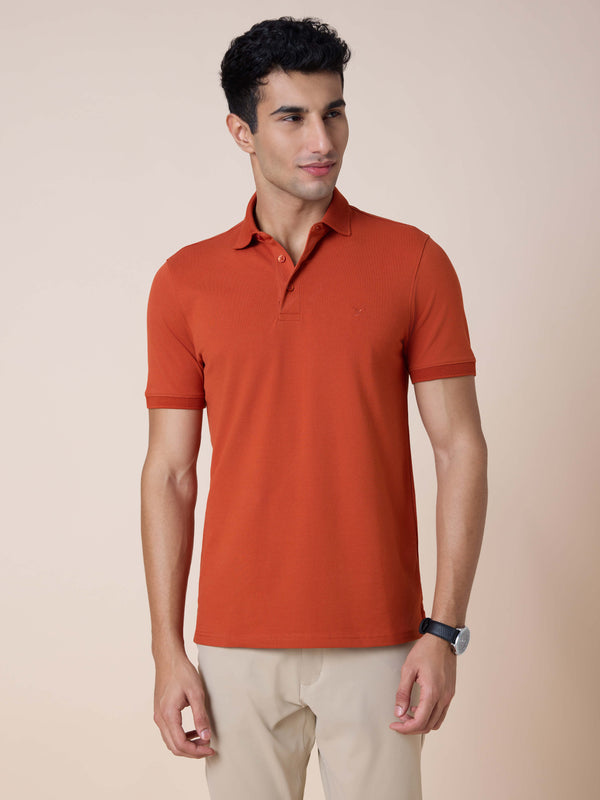 Eternal Polo