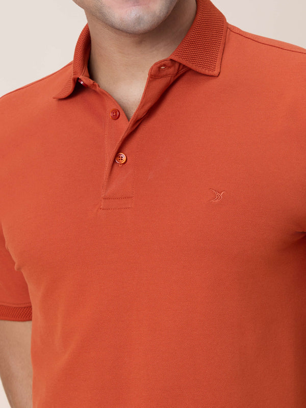 Eternal Polo