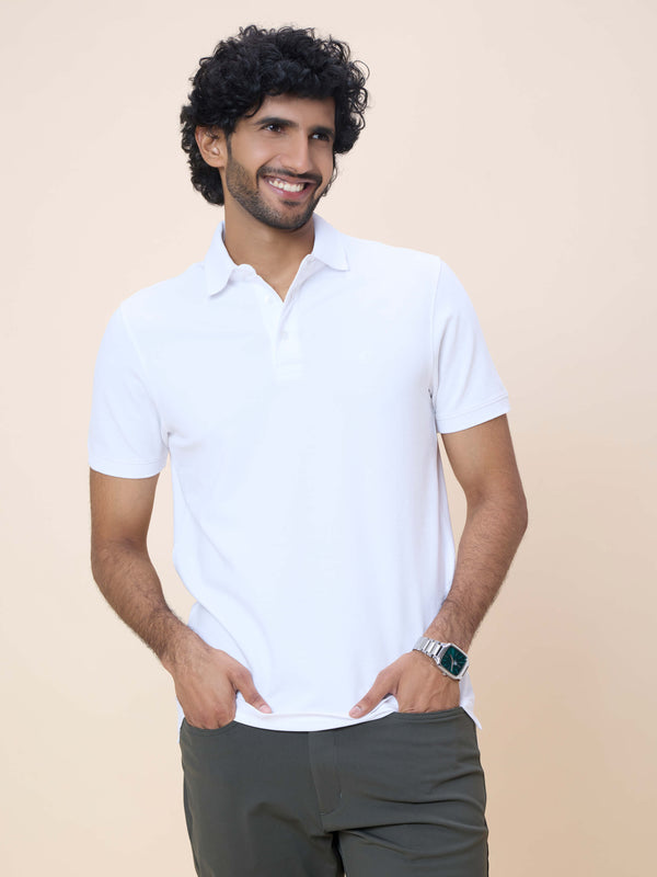 Eternal Polo